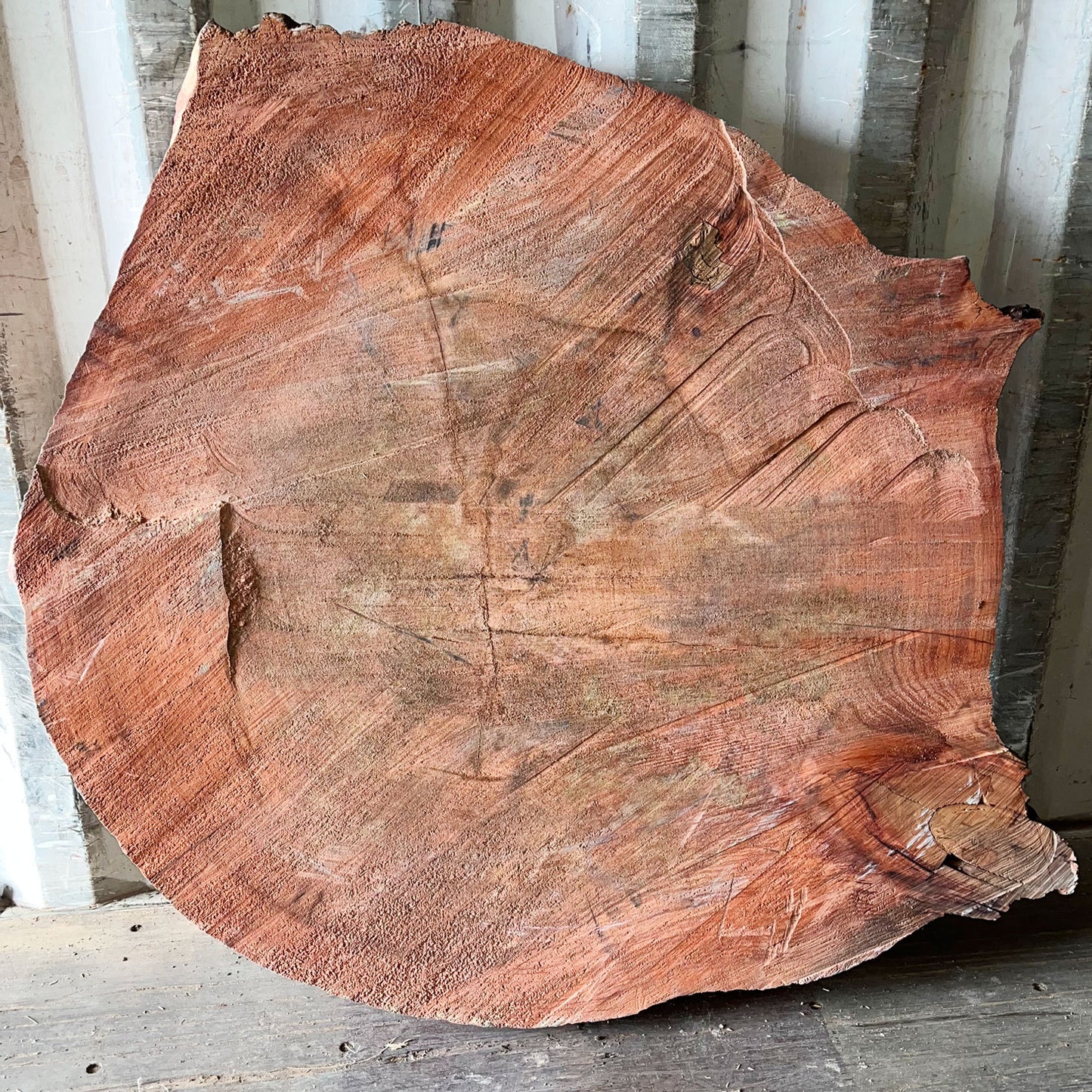 Giant Sequoia Live Edge Cookie / Round – 45" x 43" x 3.5" – Old Growth, Air-Dried – #GSC-21