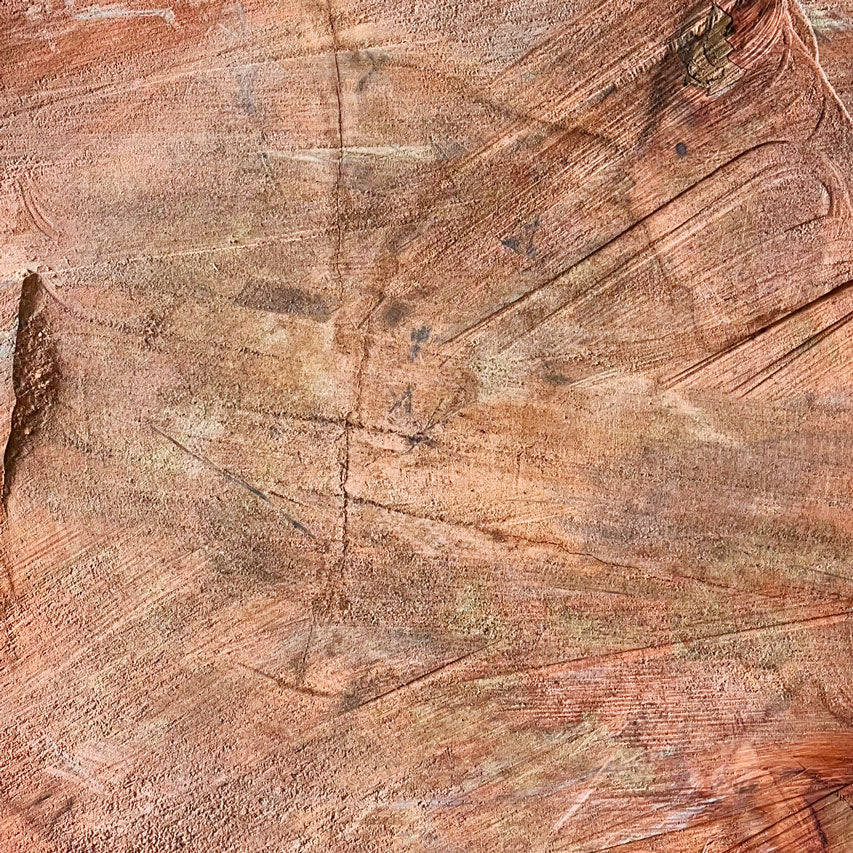 Giant Sequoia Live Edge Cookie / Round – 45" x 43" x 3.5" – Old Growth, Air-Dried – #GSC-21