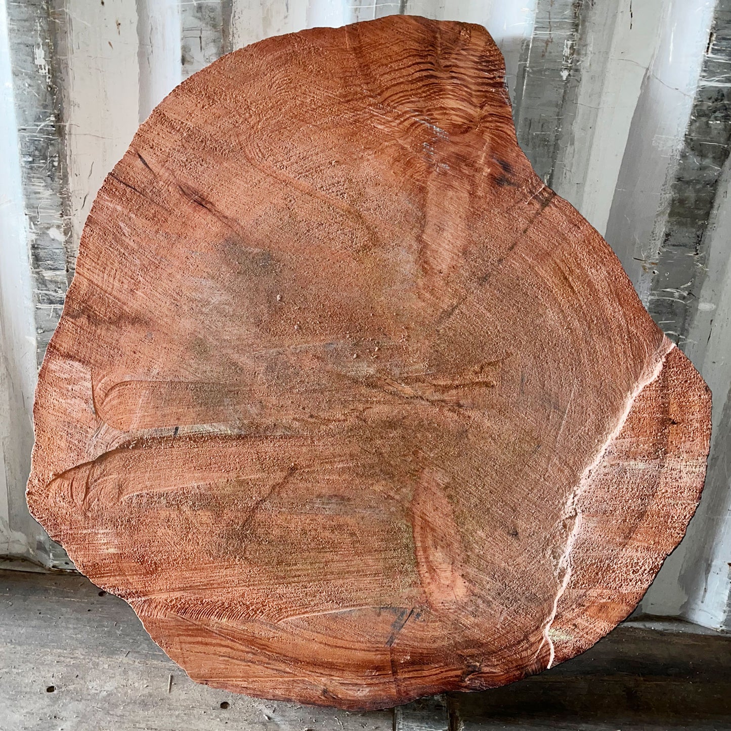 Giant Sequoia Live Edge Cookie / Round – 42" x 39" x 1.25" – Old Growth, Air-Dried – #GSC-22