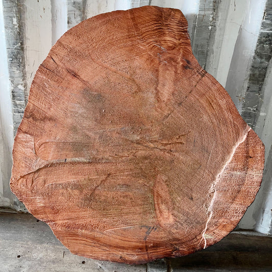 Giant Sequoia Live Edge Cookie / Round – 42" x 39" x 1.25" – Old Growth, Air-Dried – #GSC-22