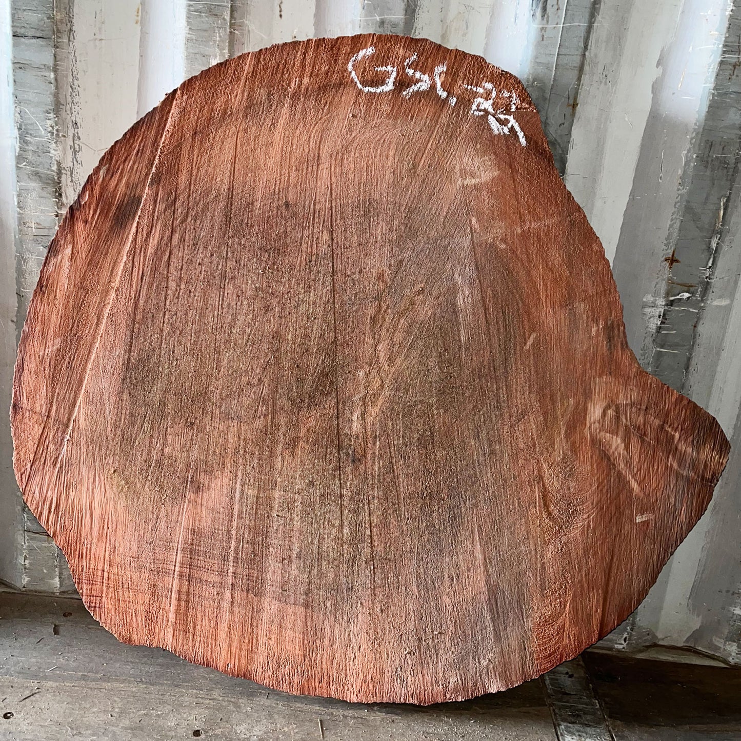 Giant Sequoia Live Edge Cookie / Round – 42" x 39" x 1.25" – Old Growth, Air-Dried – #GSC-22