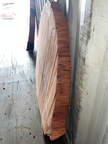 Giant Sequoia Live Edge Cookie / Round – 42" x 40" x 1.5" – Old Growth, Air-Dried – #GSC-23