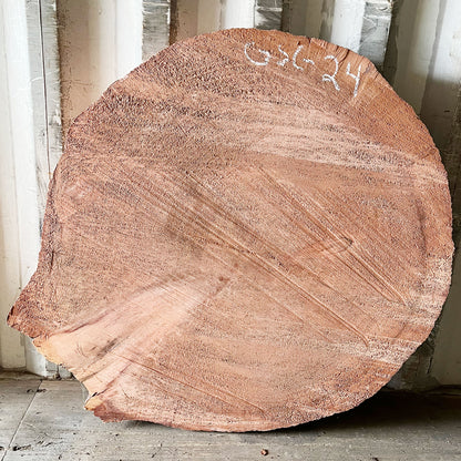 Giant Sequoia Live Edge Cookie / Round – 41" x 40" x 3.25" – Old Growth, Air-Dried – #GSC-24