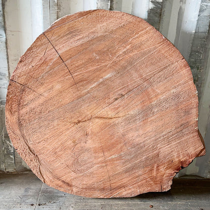 Giant Sequoia Live Edge Cookie / Round – 41" x 40" x 3.25" – Old Growth, Air-Dried – #GSC-24
