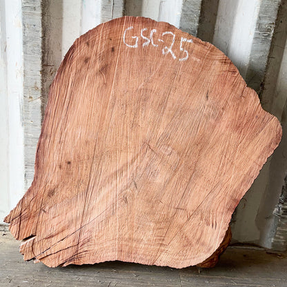 Giant Sequoia Live Edge Cookie / Round – 35" x 29.5" x 2.5" – Old Growth, Air-Dried – #GSC-25