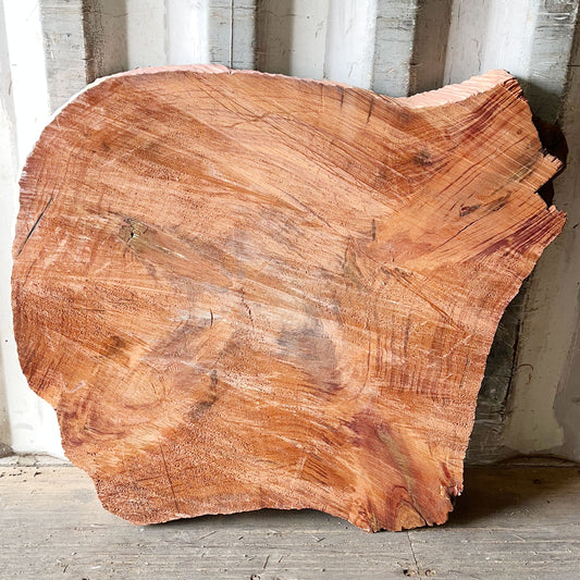 Giant Sequoia Live Edge Cookie / Round – 35" x 29.5" x 2.5" – Old Growth, Air-Dried – #GSC-25