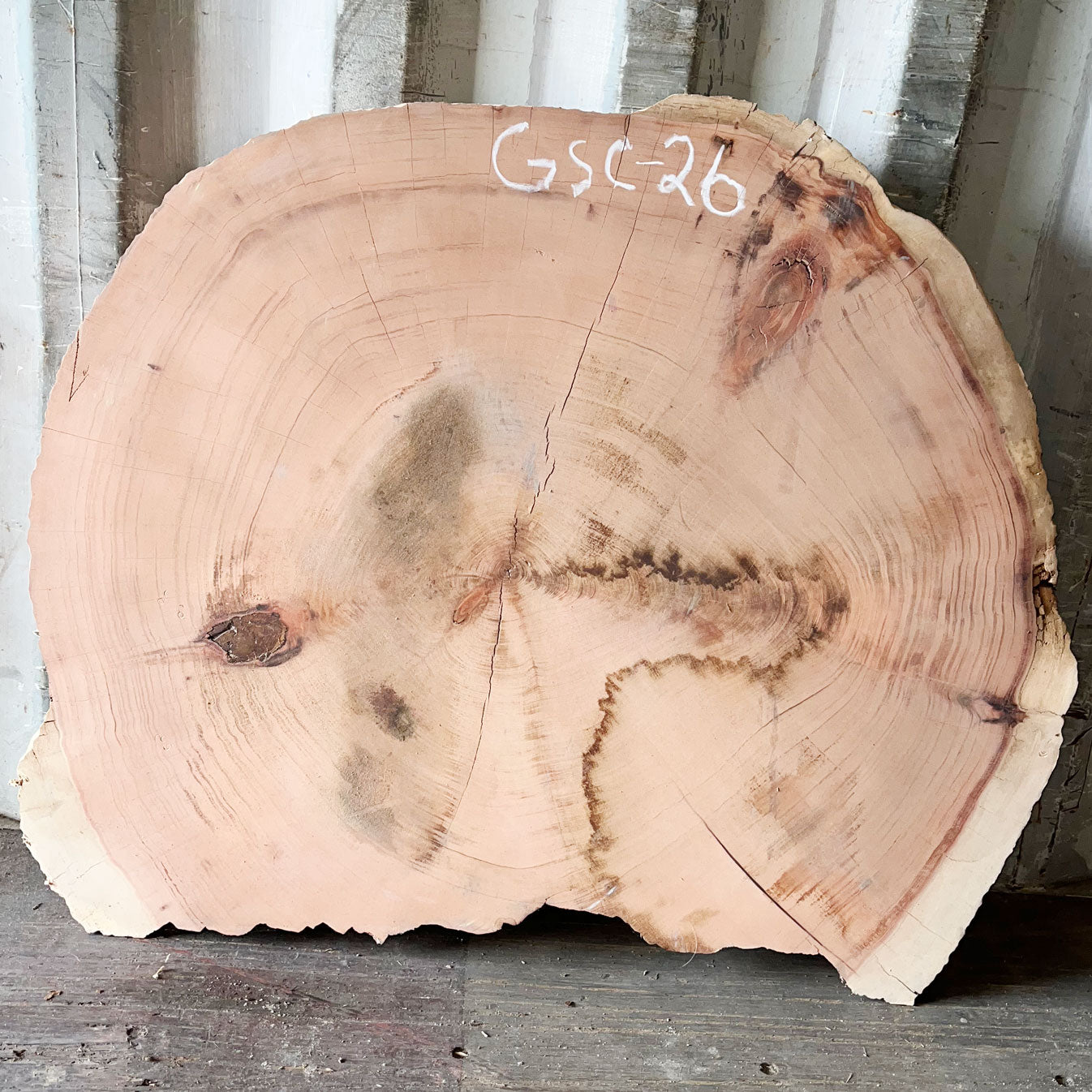 Giant Sequoia Live Edge Cookie / Round – 39.5" x 31" x 2.75" – Old Growth, Air-Dried – #GSC-26