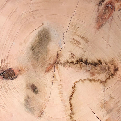 Giant Sequoia Live Edge Cookie / Round – 39.5" x 31" x 2.75" – Old Growth, Air-Dried – #GSC-26