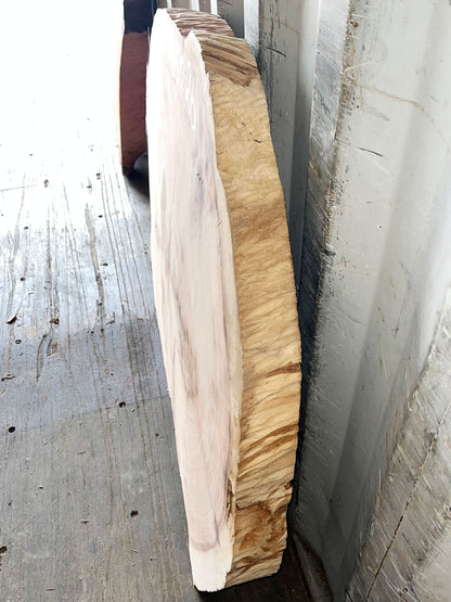 Giant Sequoia Live Edge Cookie / Round – 39.5" x 31" x 2.75" – Old Growth, Air-Dried – #GSC-26