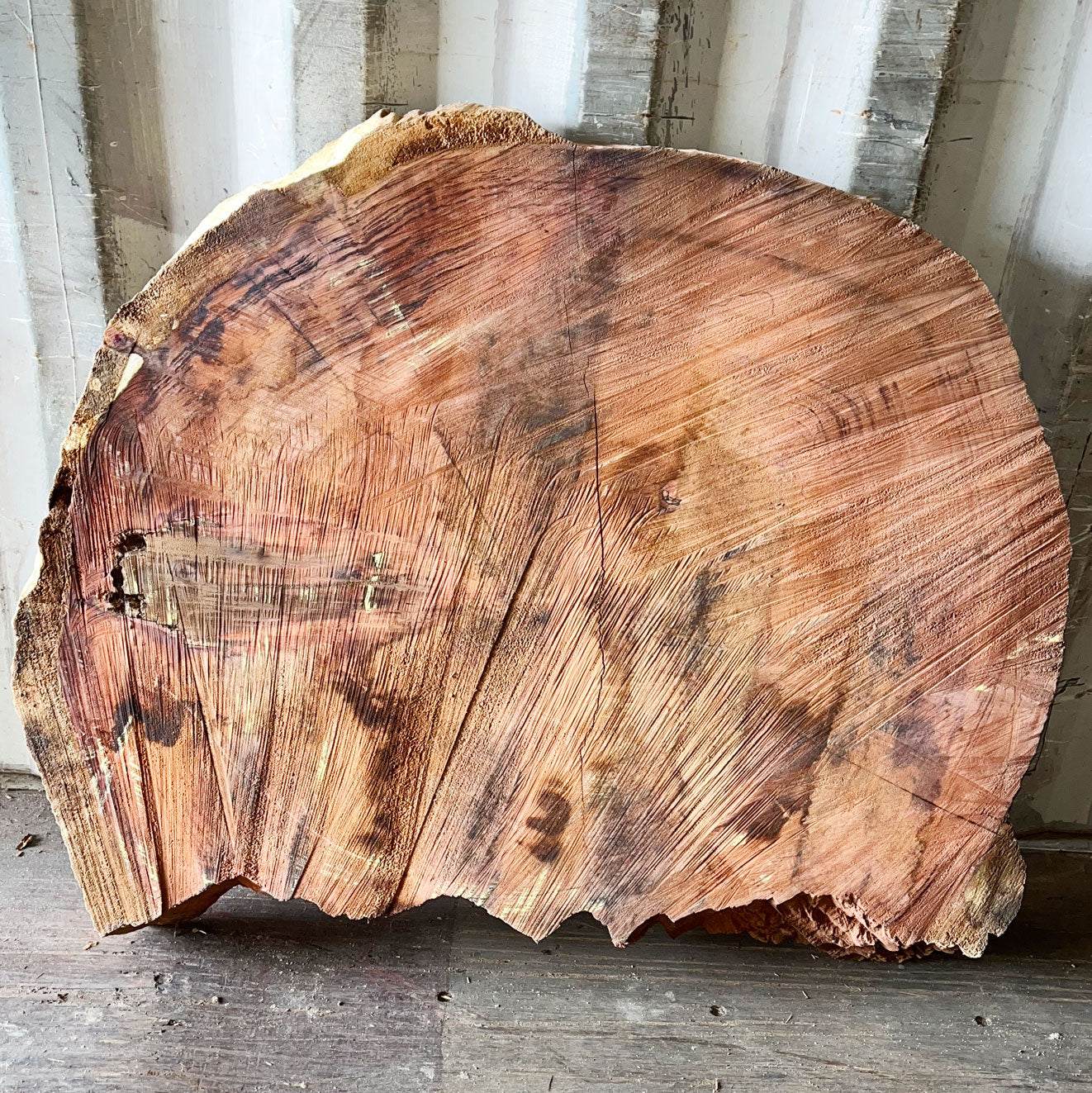 Giant Sequoia Live Edge Cookie / Round – 39.5" x 31" x 2.75" – Old Growth, Air-Dried – #GSC-26