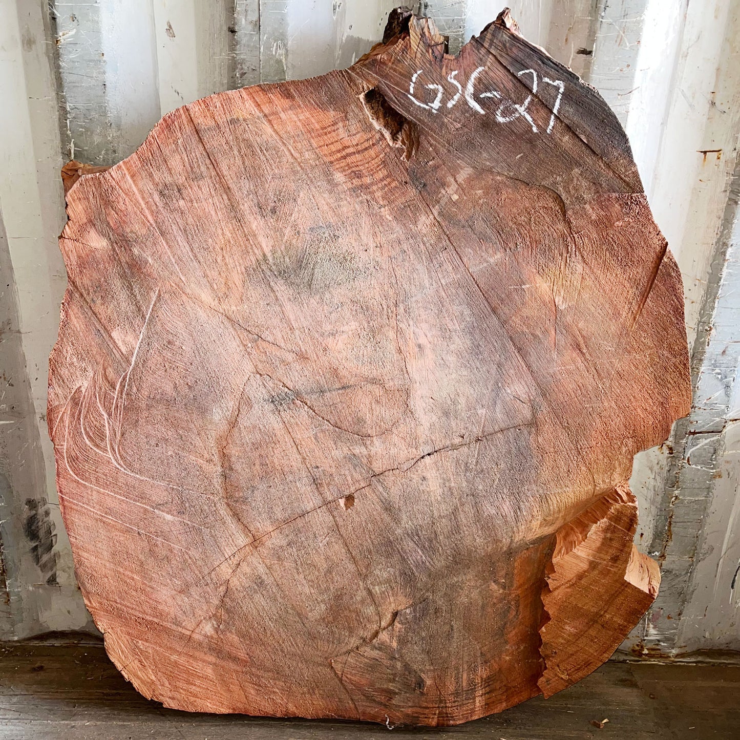 Giant Sequoia Live Edge Cookie / Round – 45" x 39" x 1.75" – Old Growth, Air-Dried – #GSC-27
