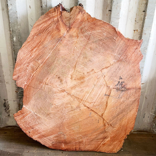 Giant Sequoia Live Edge Cookie / Round – 45" x 39" x 1.75" – Old Growth, Air-Dried – #GSC-27