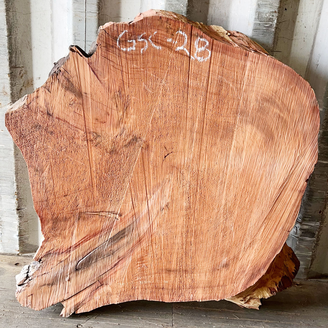 Giant Sequoia Live Edge Cookie / Round – 35" x 32" x 3.25" – Old Growth, Air-Dried – #GSC-28