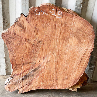 Giant Sequoia Live Edge Cookie / Round – 35" x 32" x 3.25" – Old Growth, Air-Dried – #GSC-28