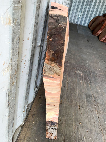 Giant Sequoia Live Edge Cookie / Round – 35" x 32" x 3.25" – Old Growth, Air-Dried – #GSC-28