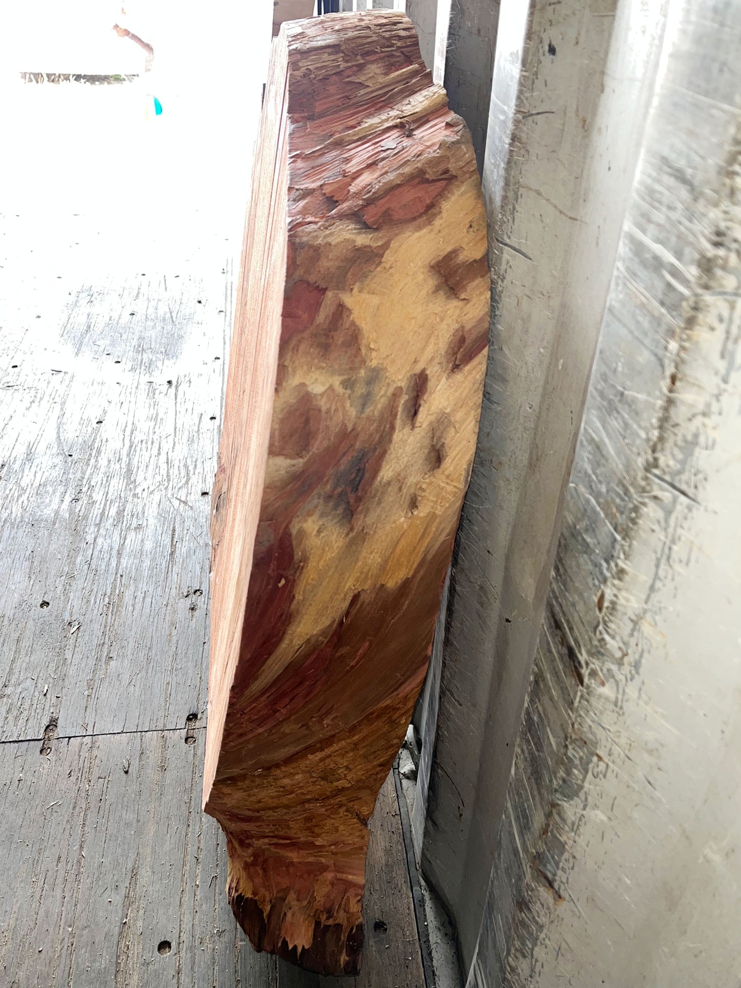 Giant Sequoia Live Edge Cookie / Round – 35" x 32" x 3.25" – Old Growth, Air-Dried – #GSC-28