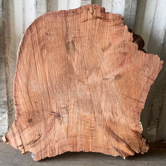Giant Sequoia Live Edge Cookie / Round – 35" x 32" x 3.25" – Old Growth, Air-Dried – #GSC-28