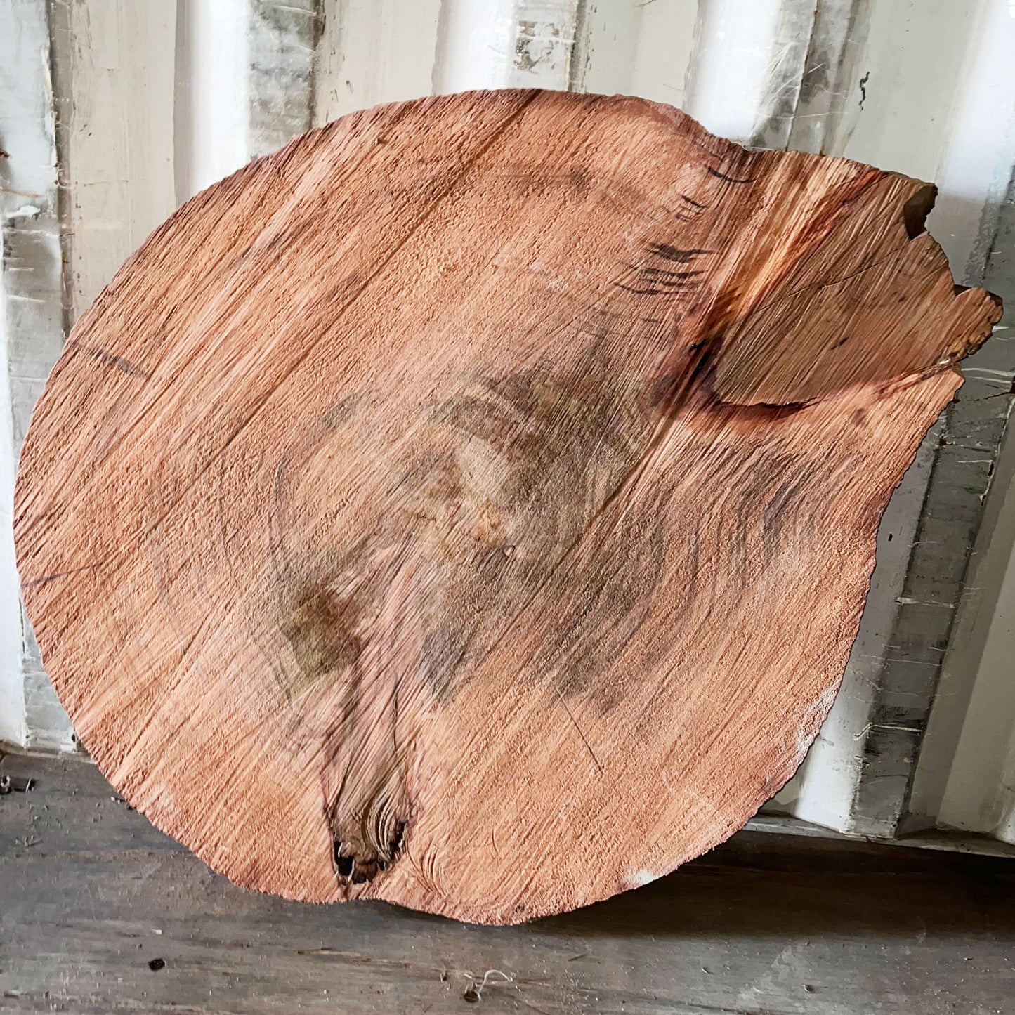 Giant Sequoia Live Edge Cookie / Round – 38" x 34" x 2.75" – Old Growth, Air-Dried – #GSC-3