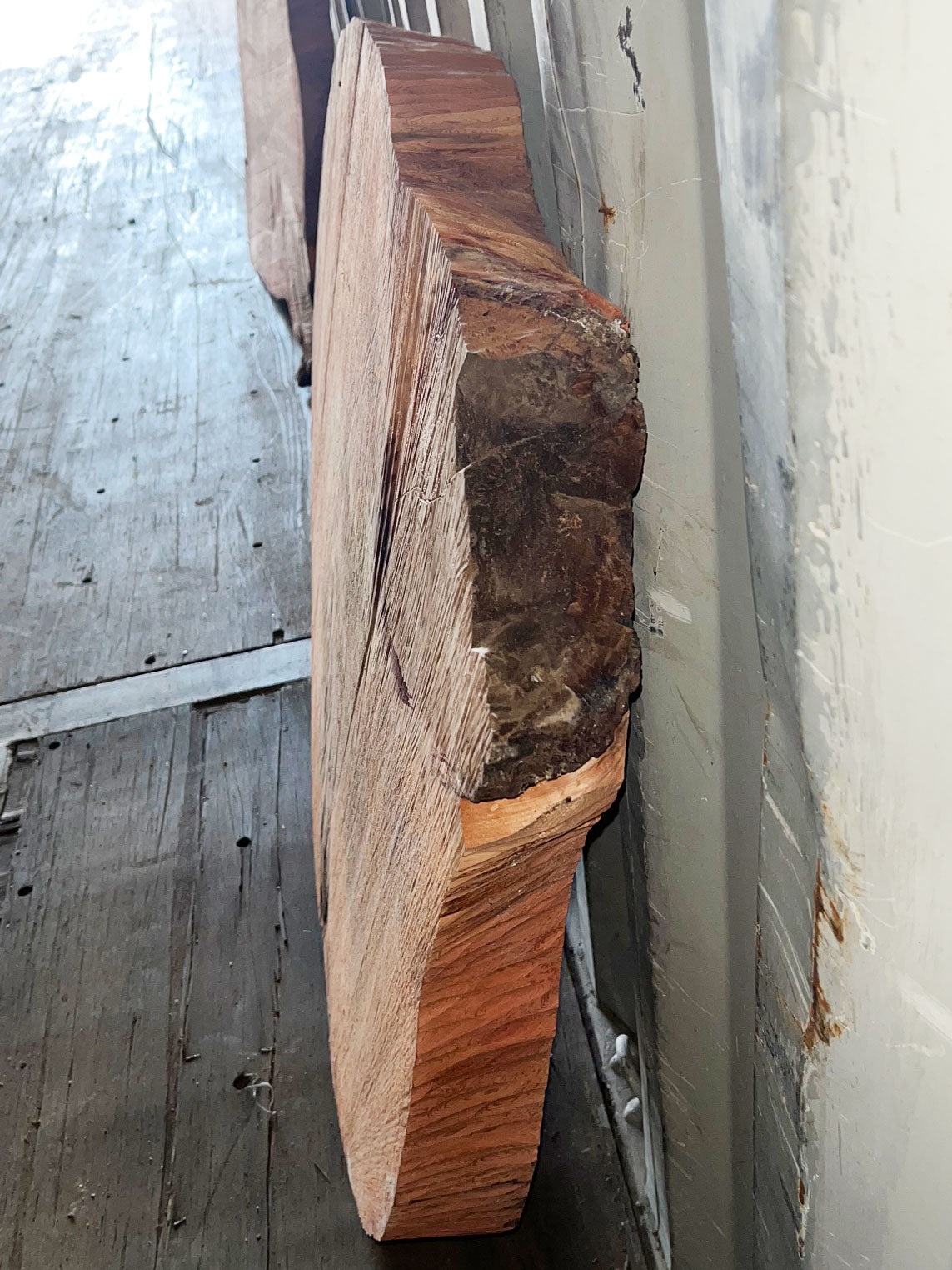 Giant Sequoia Live Edge Cookie / Round – 38" x 34" x 2.75" – Old Growth, Air-Dried – #GSC-3