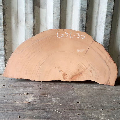 Giant Sequoia Live Edge Cookie / Round – 41" x 4.8" x 2.75" – Old Growth, Air-Dried – #GSC-30