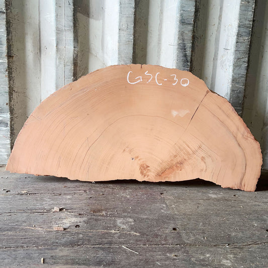 Giant Sequoia Live Edge Cookie / Round – 41" x 4.8" x 2.75" – Old Growth, Air-Dried – #GSC-30