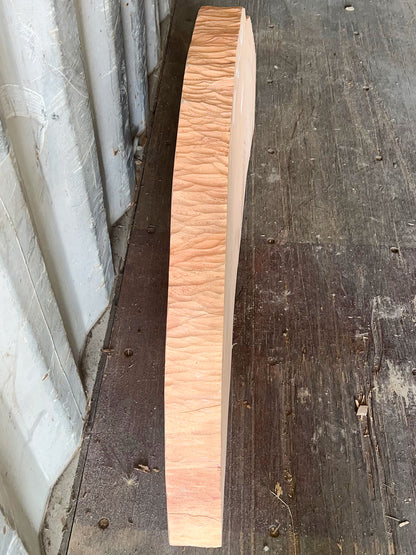 Giant Sequoia Live Edge Cookie / Round – 41" x 4.8" x 2.75" – Old Growth, Air-Dried – #GSC-30