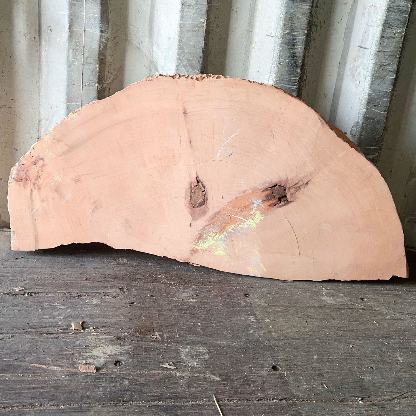 Giant Sequoia Live Edge Cookie / Round – 41" x 4.8" x 2.75" – Old Growth, Air-Dried – #GSC-30