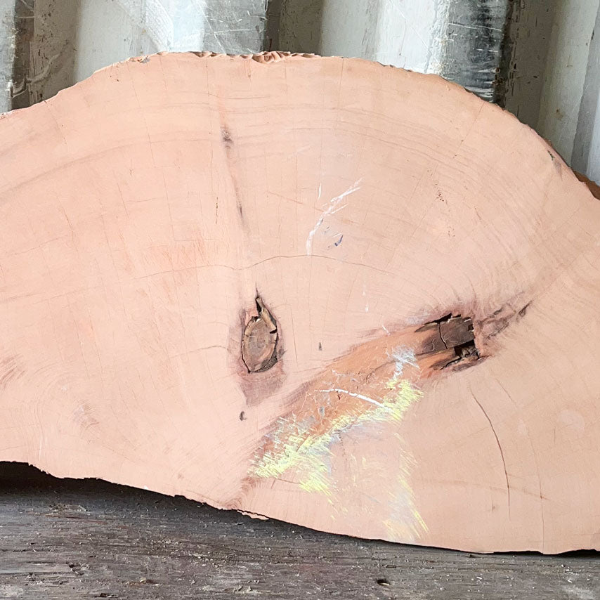 Giant Sequoia Live Edge Cookie / Round – 41" x 4.8" x 2.75" – Old Growth, Air-Dried – #GSC-30