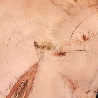 Giant Sequoia Live Edge Cookie / Round – 41" x 38" x 0.5" – Old Growth, Air-Dried – #GSC-32