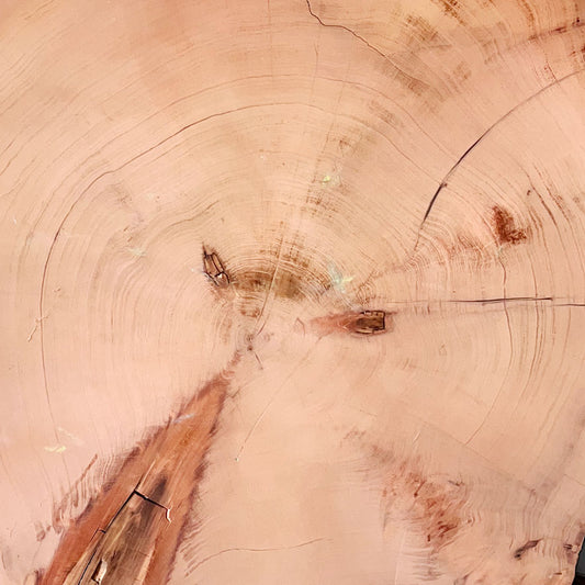 Giant Sequoia Live Edge Cookie / Round – 41" x 38" x 0.5" – Old Growth, Air-Dried – #GSC-32