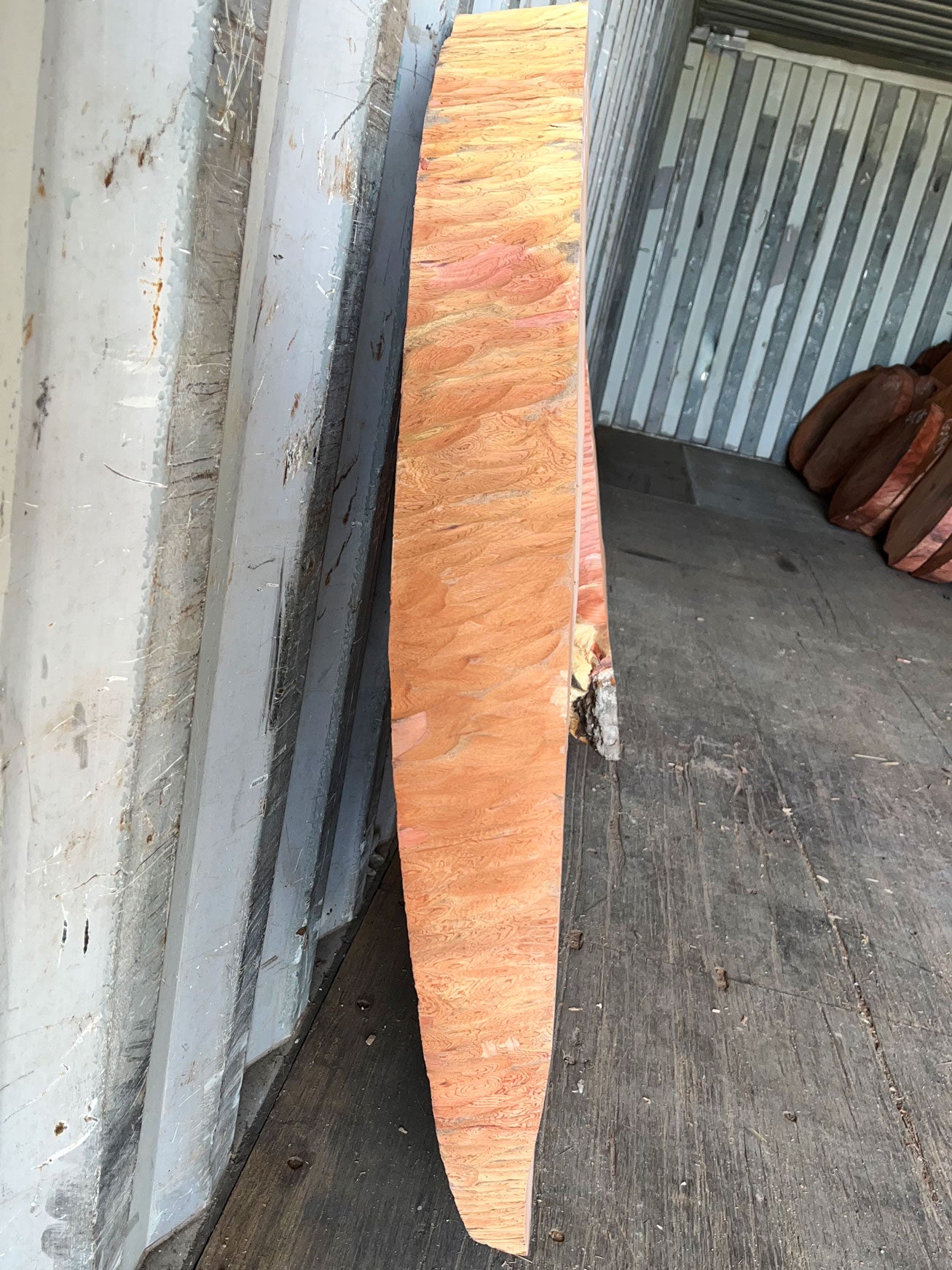 Giant Sequoia Live Edge Cookie / Round – 41" x 38" x 0.5" – Old Growth, Air-Dried – #GSC-32