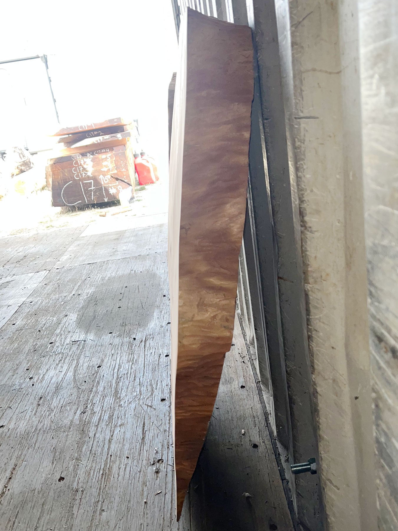 Giant Sequoia Live Edge Cookie / Round – 41" x 38" x 0.5" – Old Growth, Air-Dried – #GSC-32