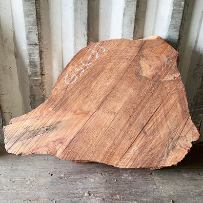 Giant Sequoia Live Edge Cookie / Round – 33" x 28" x 3" – Old Growth, Air-Dried – #GSC-33