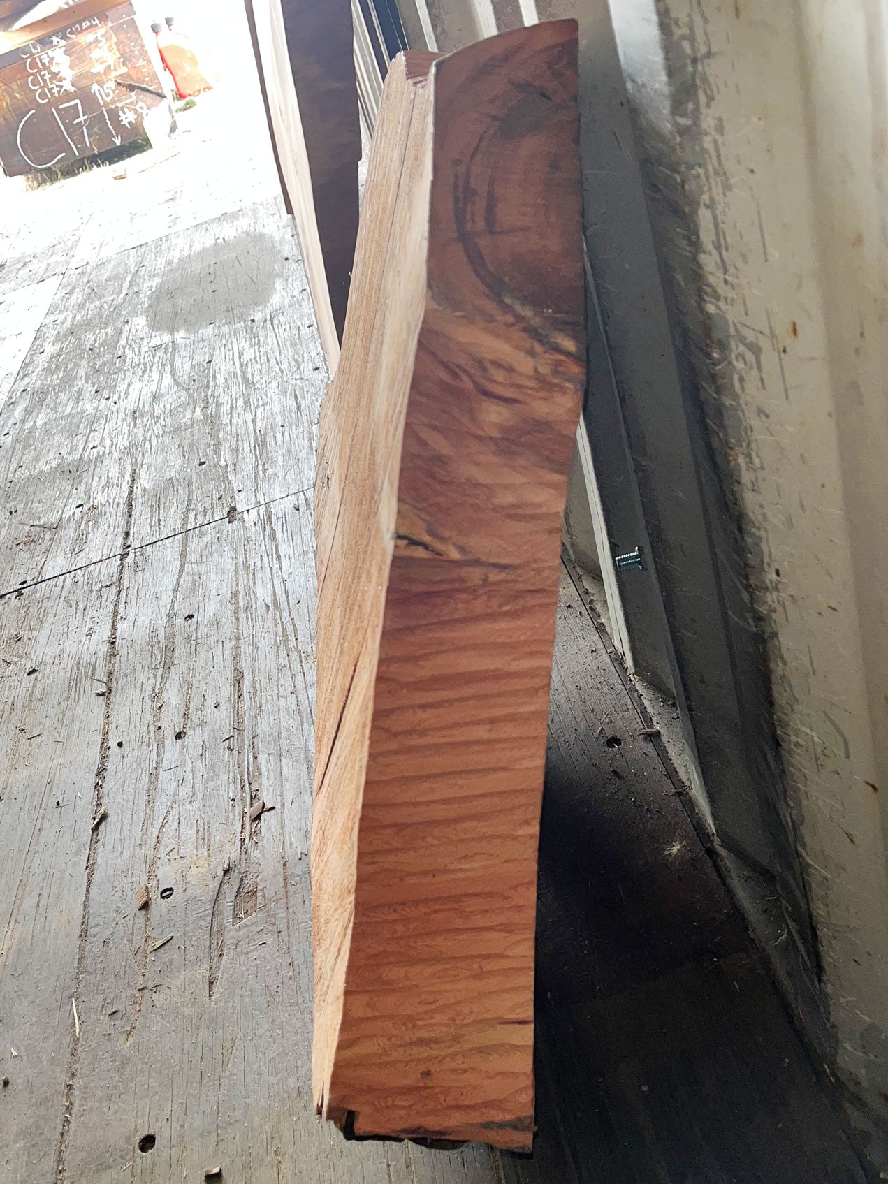 Giant Sequoia Live Edge Cookie / Round – 33" x 28" x 3" – Old Growth, Air-Dried – #GSC-33