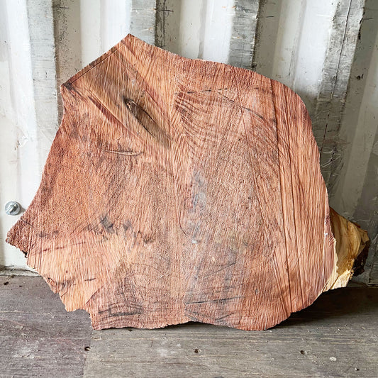 Giant Sequoia Live Edge Cookie / Round – 33" x 28" x 3" – Old Growth, Air-Dried – #GSC-33