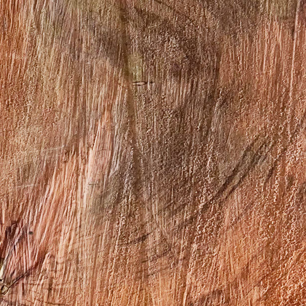 Giant Sequoia Live Edge Cookie / Round – 33" x 25.5" x 2.5" – Old Growth, Air-Dried – #GSC-4