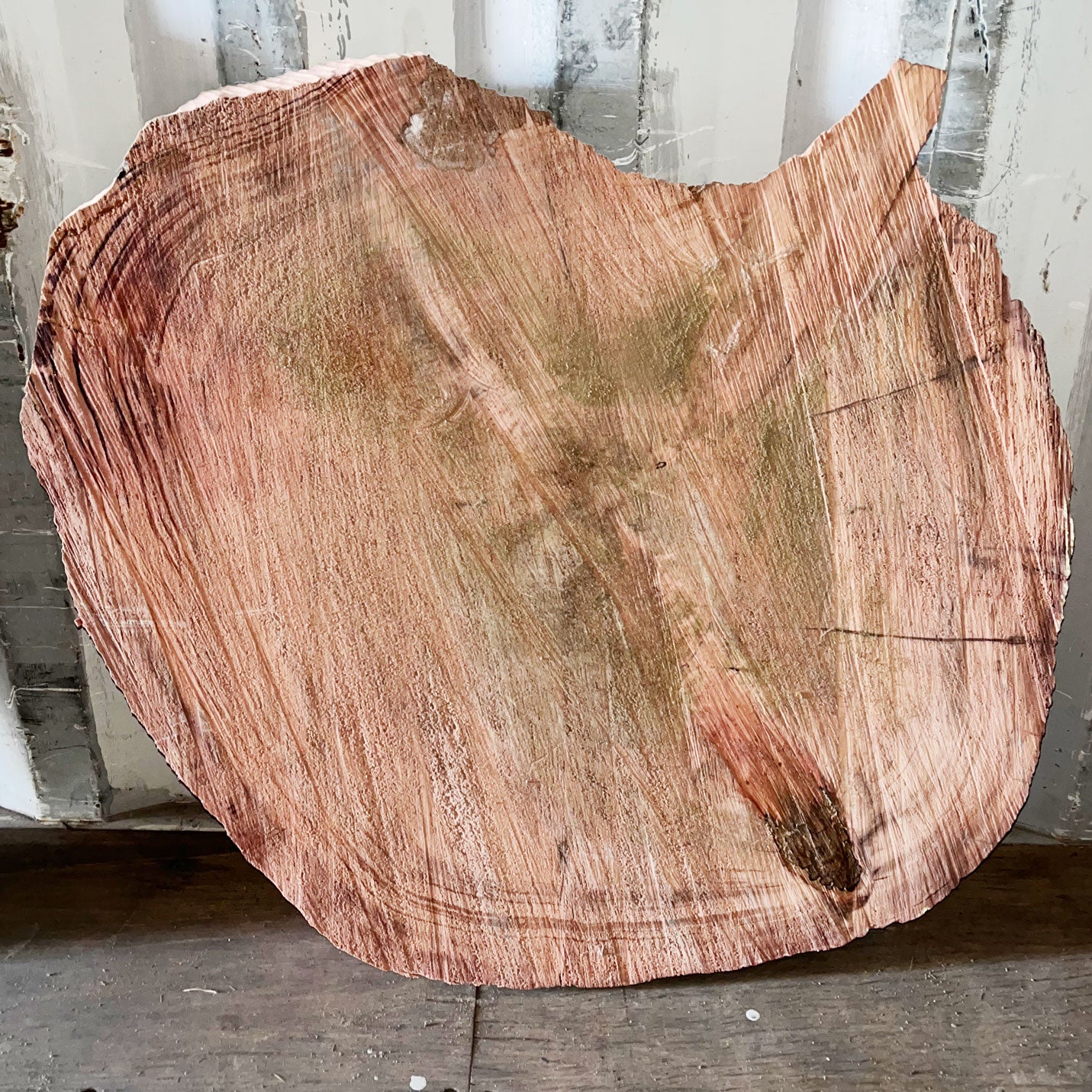 Giant Sequoia Live Edge Cookie / Round – 33" x 25.5" x 2.5" – Old Growth, Air-Dried – #GSC-4