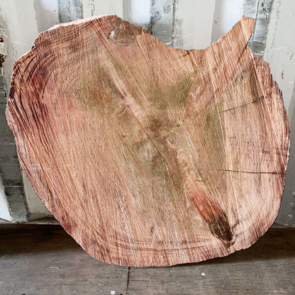 Giant Sequoia Live Edge Cookie / Round – 33" x 25.5" x 2.5" – Old Growth, Air-Dried – #GSC-4