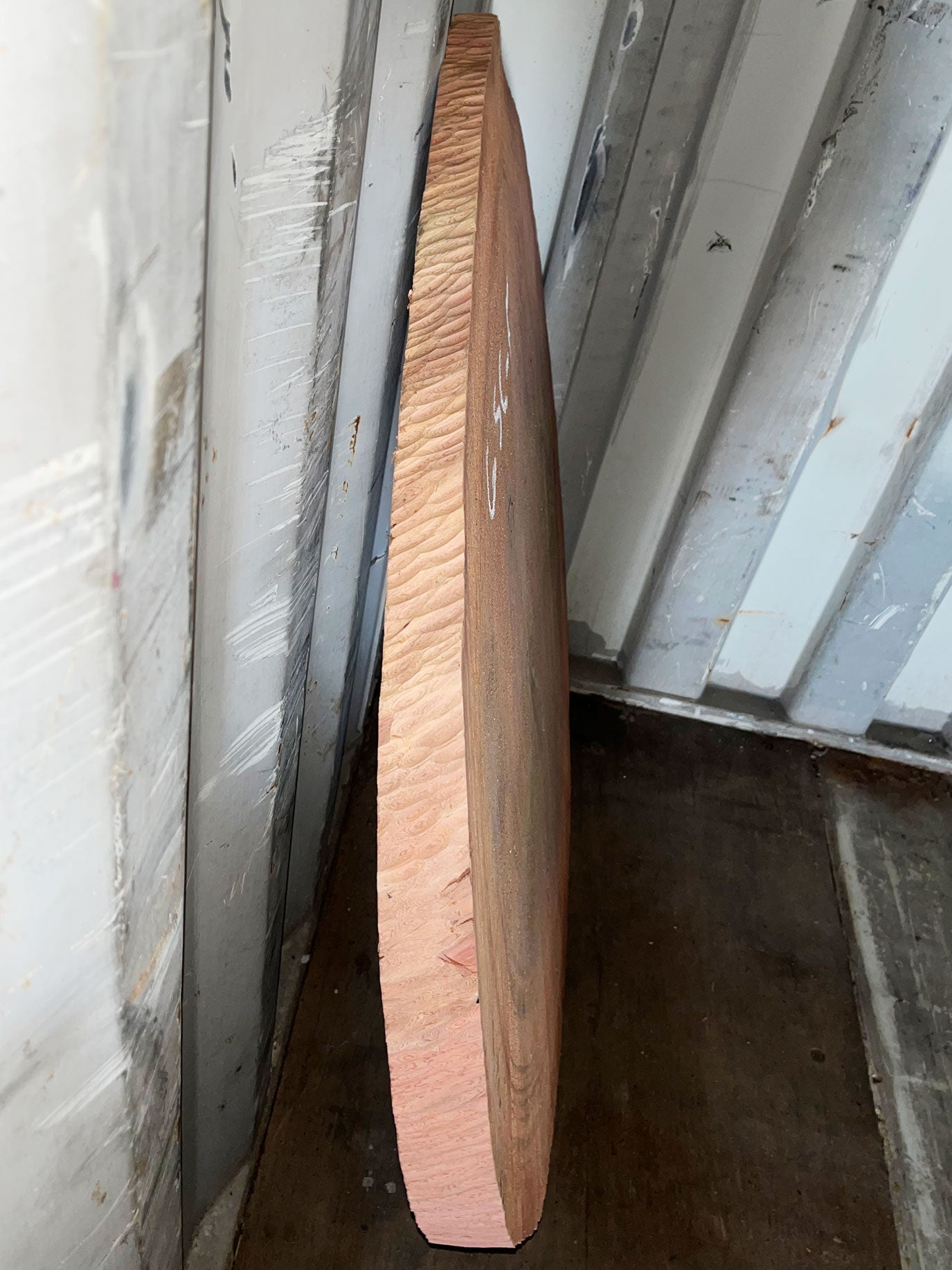 Giant Sequoia Live Edge Cookie / Round – 38" x 33" x 1" – Old Growth, Air-Dried – #GSC-5