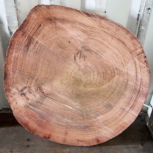 Giant Sequoia Live Edge Cookie / Round – 38" x 33" x 1" – Old Growth, Air-Dried – #GSC-5