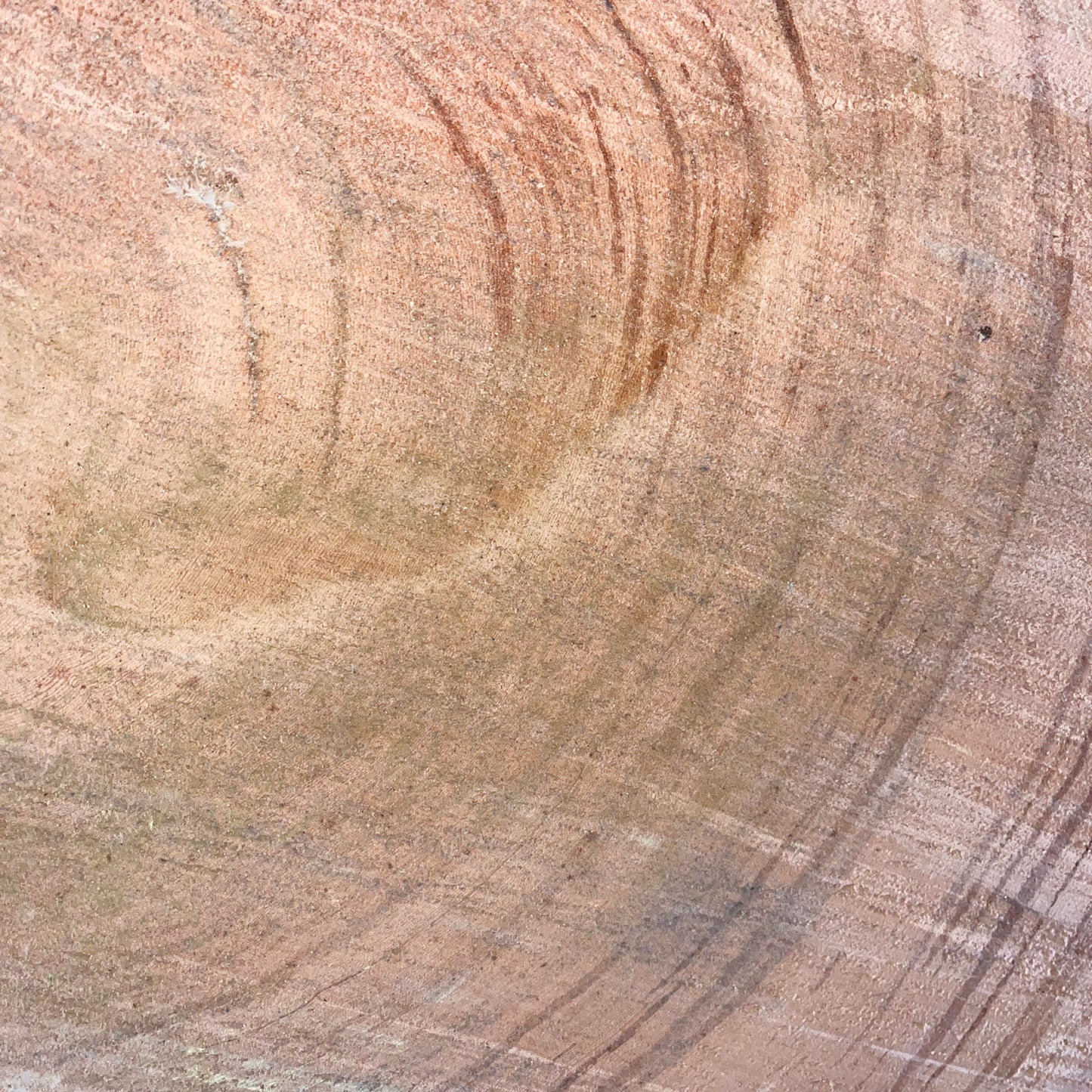 Giant Sequoia Live Edge Cookie / Round – 38" x 33" x 1" – Old Growth, Air-Dried – #GSC-5