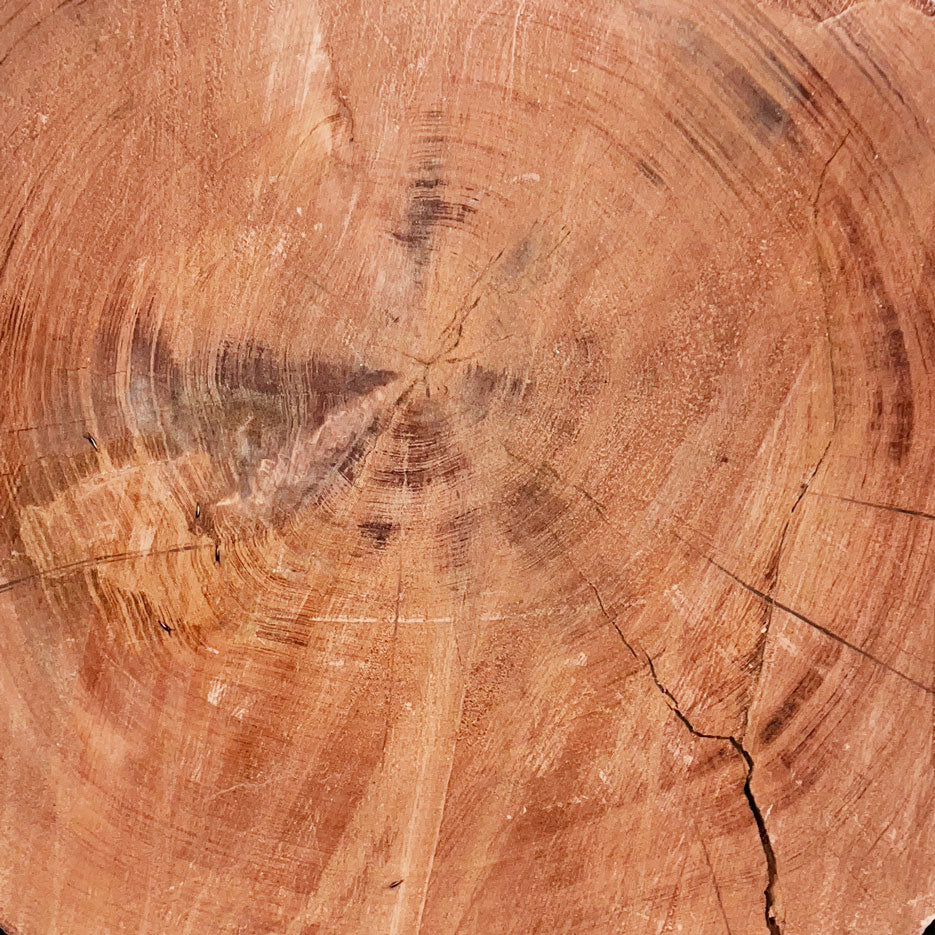 Giant Sequoia Live Edge Cookie / Round – 46" x 43" x 4" – Old Growth, Air-Dried – #GSC-6