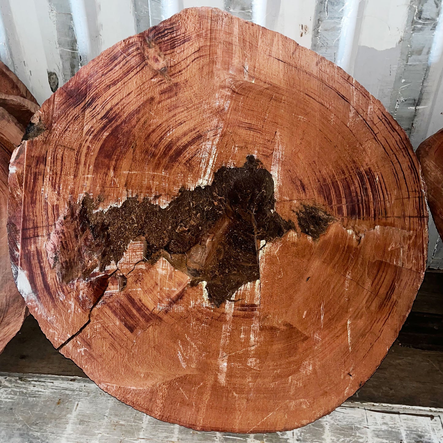 Giant Sequoia Live Edge Cookie / Round – 46" x 43" x 4" – Old Growth, Air-Dried – #GSC-6