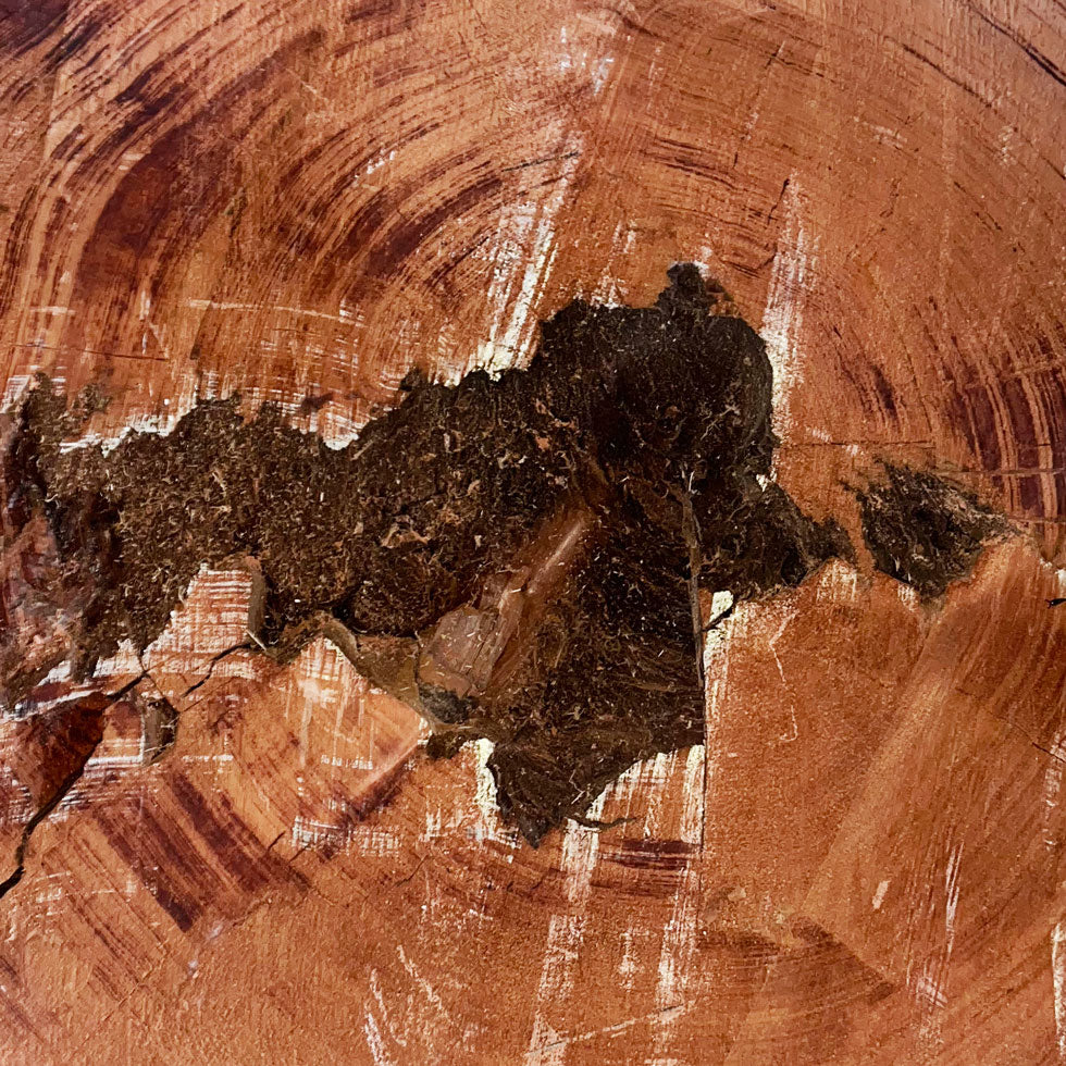 Giant Sequoia Live Edge Cookie / Round – 46" x 43" x 4" – Old Growth, Air-Dried – #GSC-6