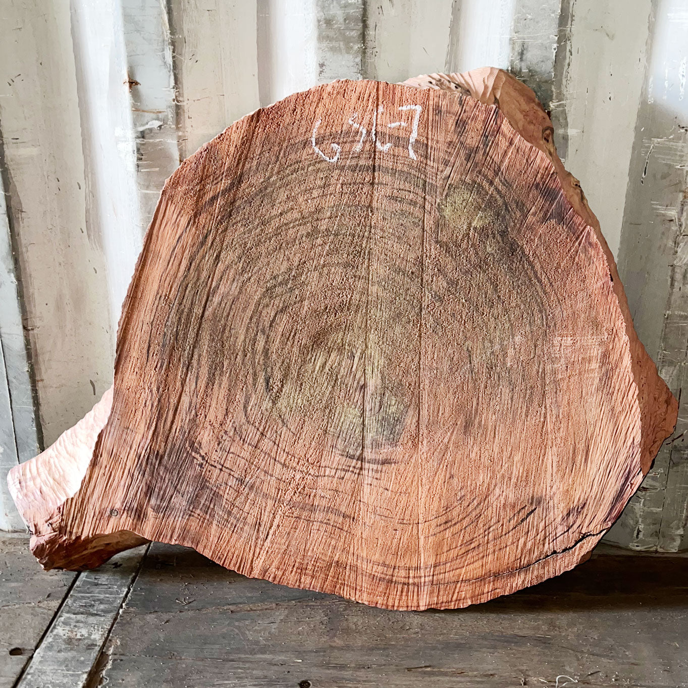Giant Sequoia Live Edge Cookie / Round – 32" x 30" x 3" – Old Growth, Air-Dried – #GSC-7