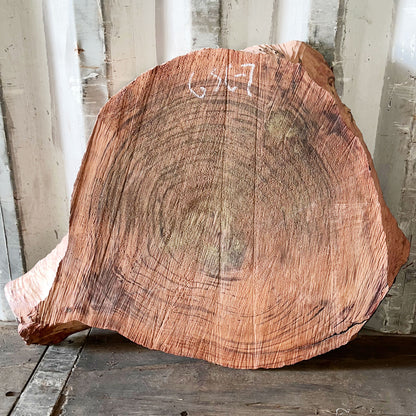 Giant Sequoia Live Edge Cookie / Round – 32" x 30" x 3" – Old Growth, Air-Dried – #GSC-7