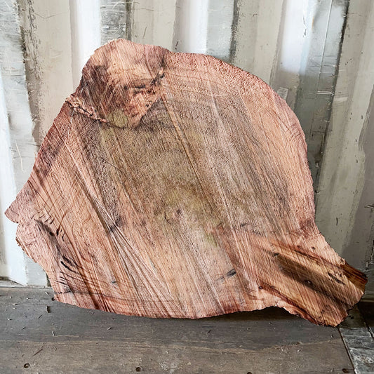 Giant Sequoia Live Edge Cookie / Round – 32" x 30" x 3" – Old Growth, Air-Dried – #GSC-7