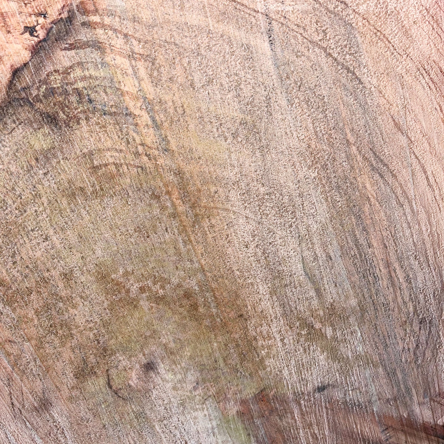 Giant Sequoia Live Edge Cookie / Round – 32" x 30" x 3" – Old Growth, Air-Dried – #GSC-7