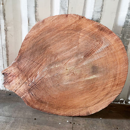 Giant Sequoia Live Edge Cookie / Round – 36" x 34" x 2.75" – Old Growth, Air-Dried – #GSC-8