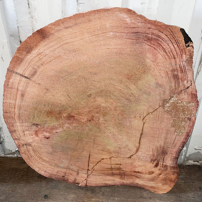 Giant Sequoia Live Edge Cookie / Round – 35" x 34" x 3" – Old Growth, Air-Dried – #GSC-9